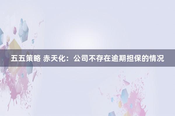 五五策略 赤天化：公司不存在逾期担保的情况