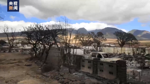 驰盈策略 美国毛伊岛大火遇难者家属对当地政府、电力公司等提起诉讼