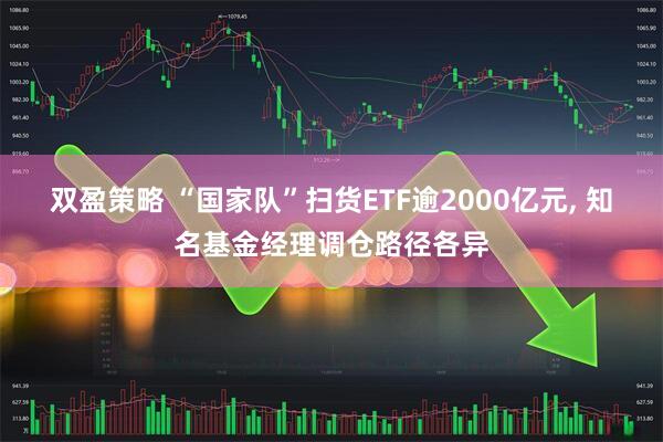 双盈策略 “国家队”扫货ETF逾2000亿元, 知名基金经理调仓路径各异