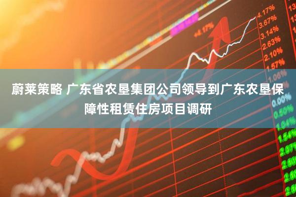 蔚莱策略 广东省农垦集团公司领导到广东农垦保障性租赁住房项目调研