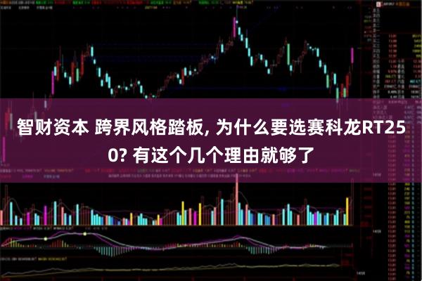 智财资本 跨界风格踏板, 为什么要选赛科龙RT250? 有这个几个理由就够了