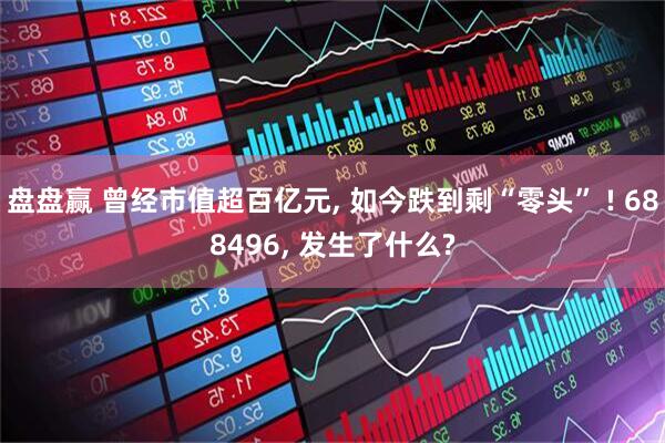 盘盘赢 曾经市值超百亿元, 如今跌到剩“零头” ! 688496, 发生了什么?